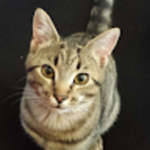 Meet your Posher, Darren